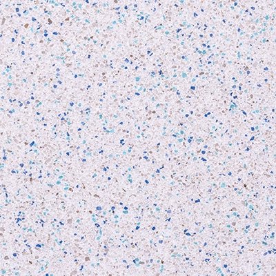 QuartzScapes Tropical Series Wahoo manufacturer finish sample